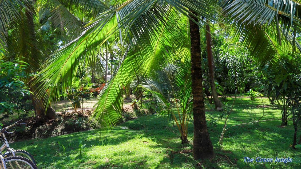 The Green Jungle Дамбулла Экстерьер фото