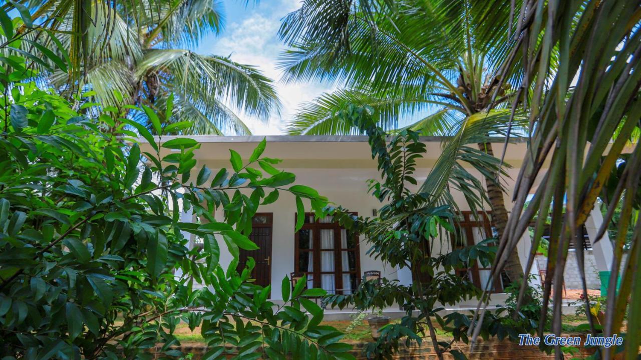 The Green Jungle Дамбулла Экстерьер фото